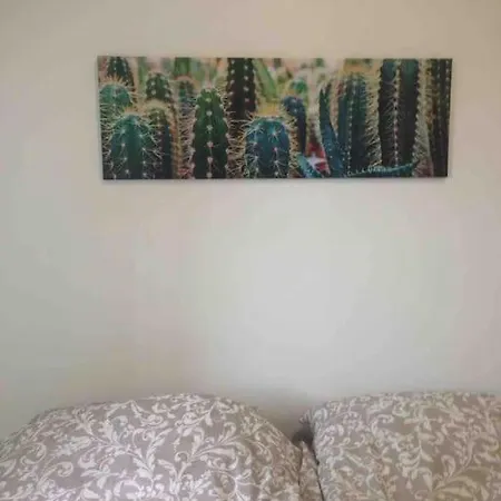 Apartment House Sant'orsola